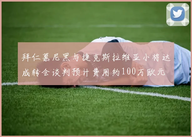 拜仁慕尼黑与捷克斯拉维亚小将达成转会谈判预计费用约100万欧元